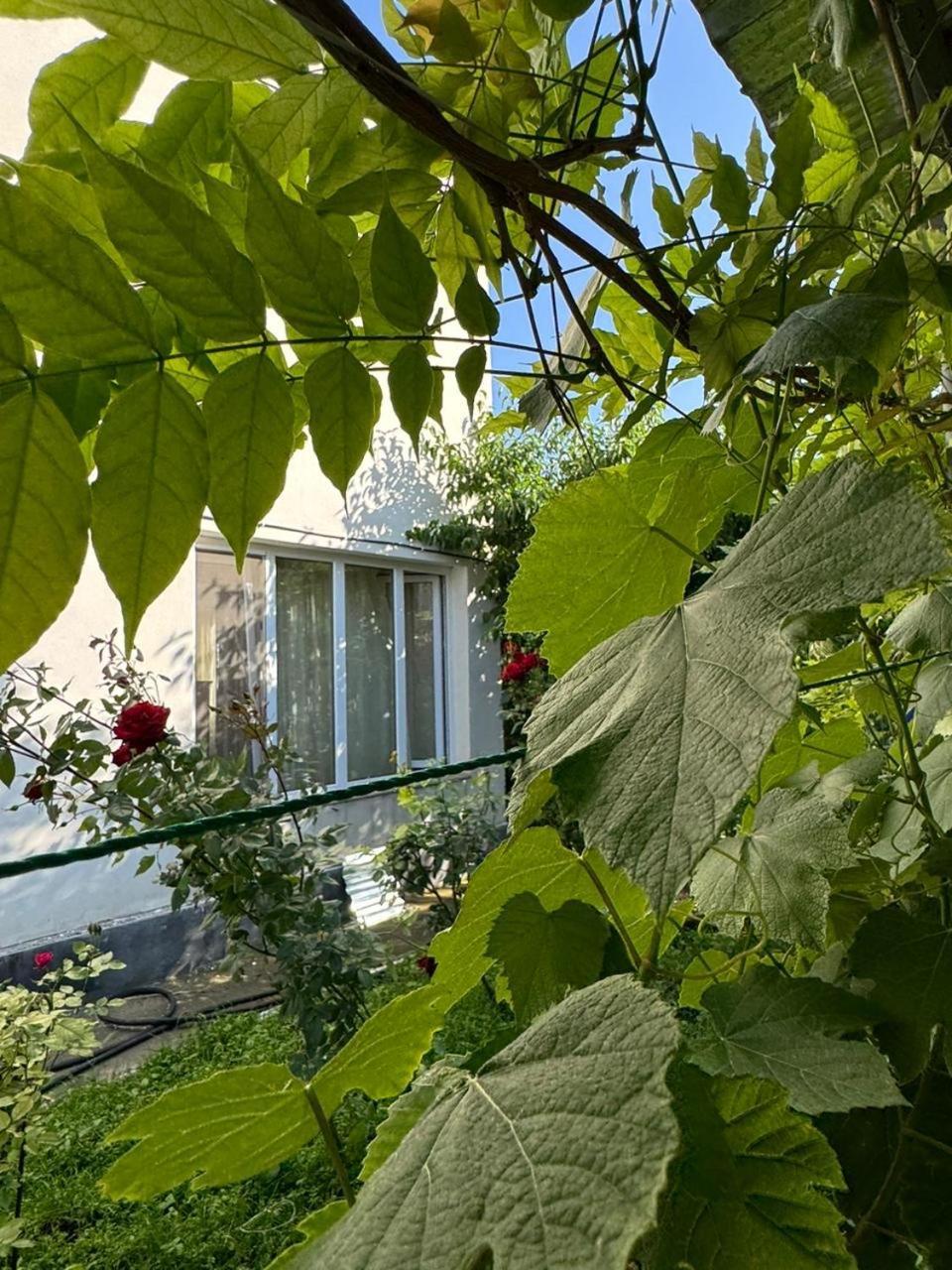 Center Hotel Goris Exterior foto